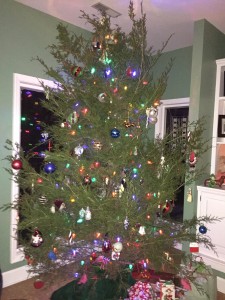 hall-christmas_tree